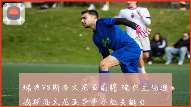 瑞典vs斯洛文尼亚前瞻 瑞典主场迎战斯洛文尼亚争夺小组关键分